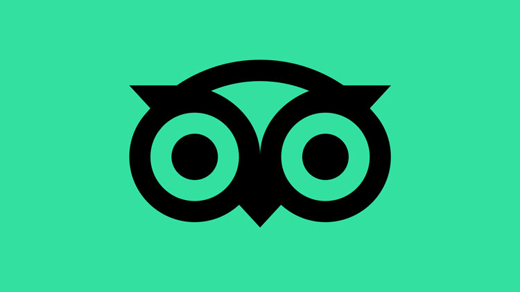 Courtesy of Mother Design